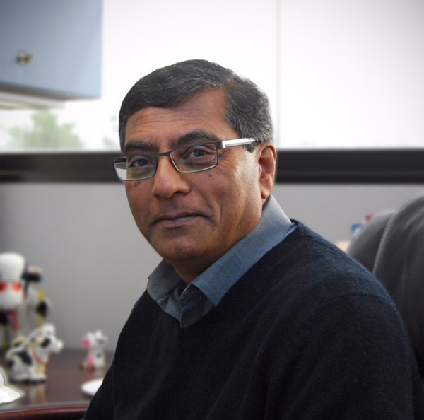 Organic DairyMathurSharad004